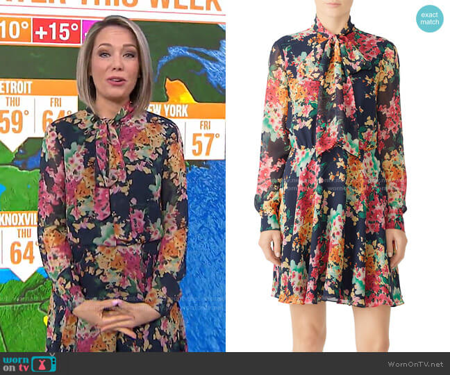 Jill Dress by Jay Godfrey worn by Dylan Dreyer on Today