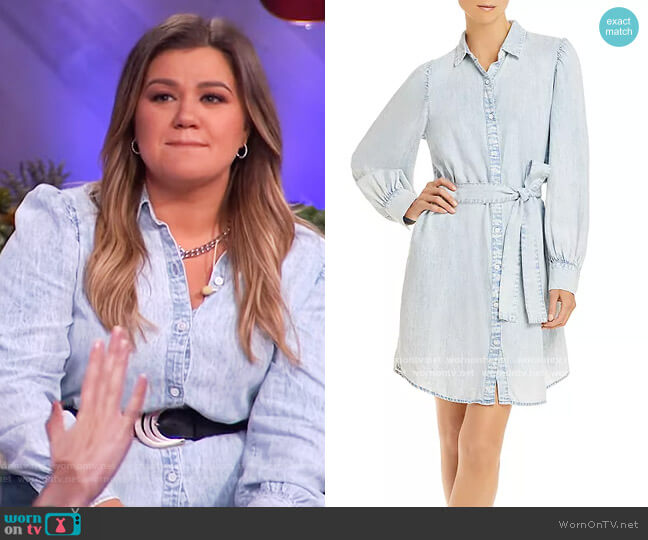 Adele Denim Belted Shirtdress by Rails worn by Kelly Clarkson on The Kelly Clarkson Show