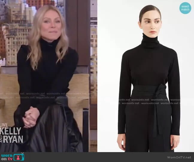 Wool Yarn Turtleneck by Max Mara worn by Kelly Ripa on Live with Kelly and Mark