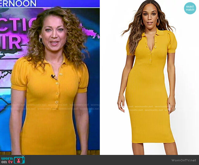 Puff-Sleeve Polo Sweater Dress by New York & Company worn by Ginger Zee  on Good Morning America