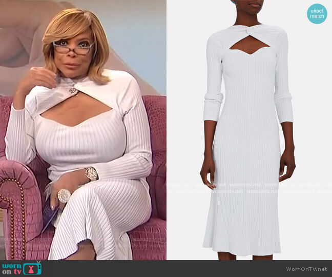 The Wendy Williams Show Outfits & Fashion | WornOnTV | Clothes ...