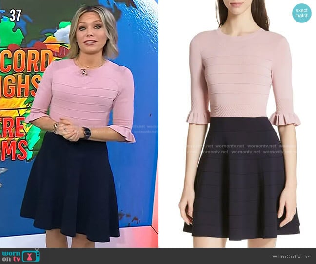 Dyana Dress by Ted Baker worn by Dylan Dreyer on Today