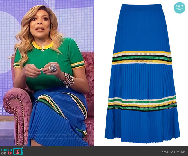 Saint Ann Rib Skirt by Wales Bonner worn by Wendy Williams  on The Wendy Williams Show