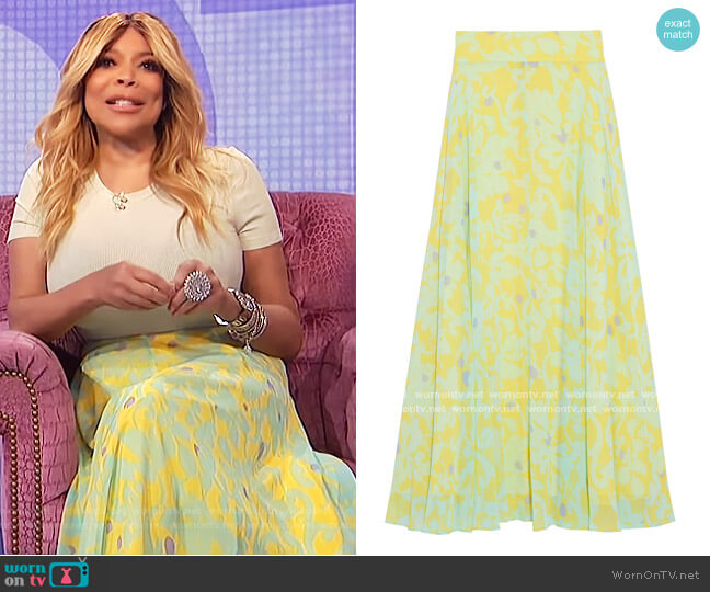 Tonnah floral-print georgette maxi skirt by Diane Von Furstenberg worn by Wendy Williams on The Wendy Williams Show