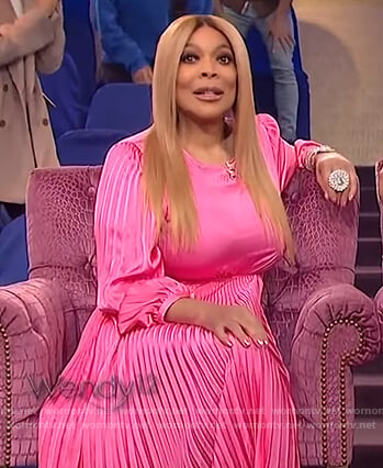 Wendy’s pink pleated dress on The Wendy Williams Show