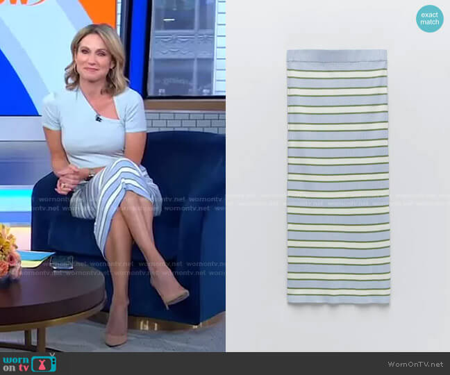 Striped Knit Skirt by Zara worn by Amy Robach  on Good Morning America