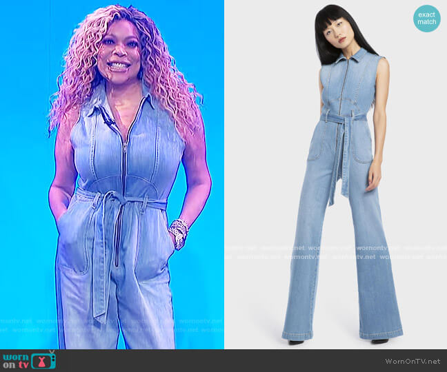 Gorgeous Sexy 70s Sleeveless Jumpsuit by Alice + Olivia worn by Wendy Williams on The Wendy Williams Show