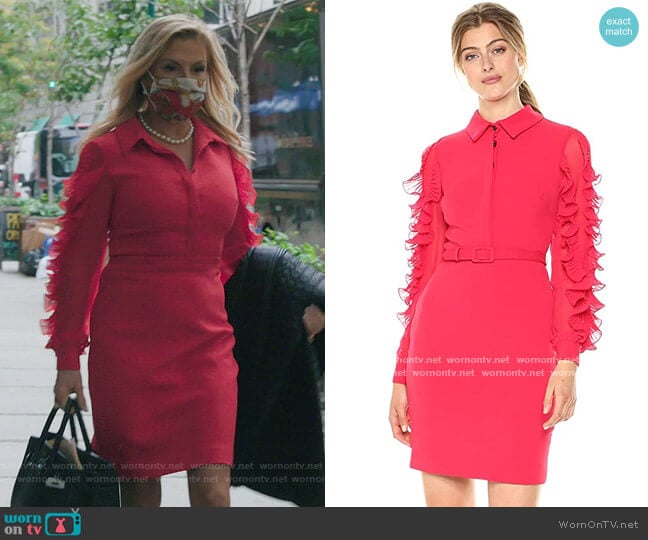 Long Sleeved Runway Cocktail Dress by Badgley Mischka worn by Ramona Singer on The Real Housewives of New York City