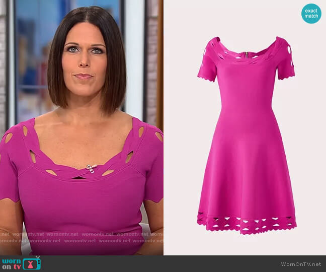 Milly Keyhole Twist Trim Flare Dress worn by Dana Jacobson on CBS Mornings