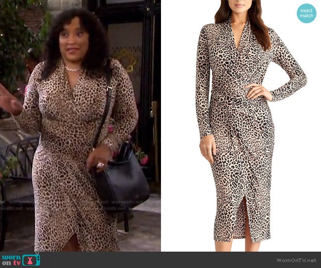 WornOnTV: Paulina’s leopard surplice dress on Days of our Lives ...