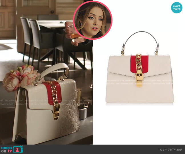 Louis Vuitton Dog Carrier Monogram Bag used by Fallon Carrington (Elizabeth  Gillies) as seen in Dynasty TV show wardrobe (Season 5 Episode 13)