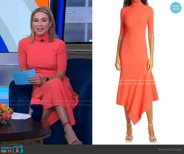 WornOnTV: Amy’s orange turtleneck ribbed dress on Good Morning America ...