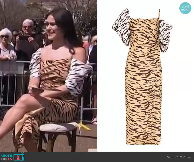 Amelia Off-Shoulder Tiger Print Dress by Rejina Pyo worn by Donna Farizan on Today