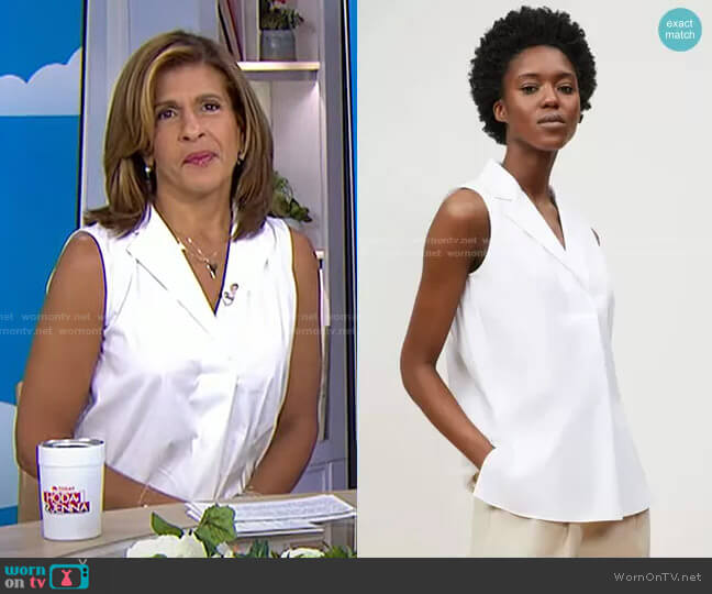 Siona Sleeveless Collared Shirt by Lafayette 148 New York worn by Hoda Kotb on Today