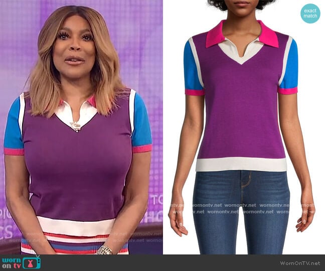 Colorblock Polo T-Shirt by Victor Glemaud worn by Wendy Williams on The Wendy Williams Show