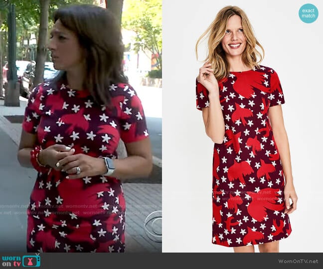 Boden Easy Shift Dress in Mulled Wine Starry Bird worn by Michelle Miller on CBS Mornings