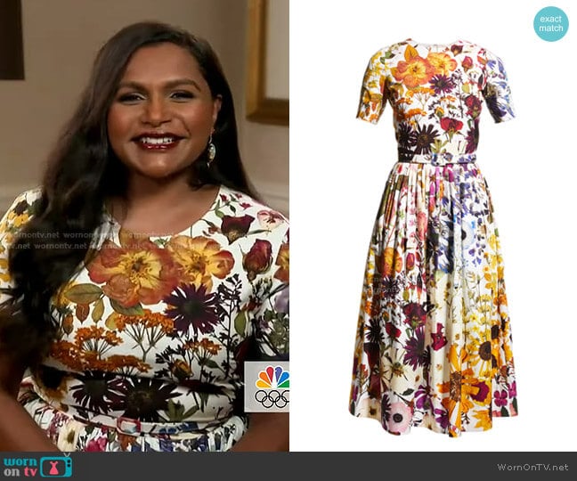 Ombre Pressed Flower-Print Fit-&-Flare Dress by Oscar de la Renta worn by Mindy Kaling on Today