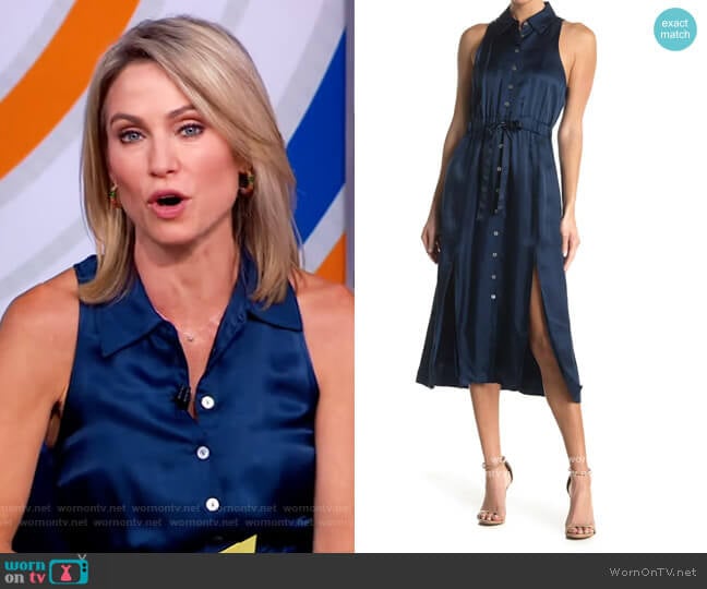 Joyce Sleeveless Tie Waist Midi Dress by Cinq a Sept worn by Amy Robach on Good Morning America