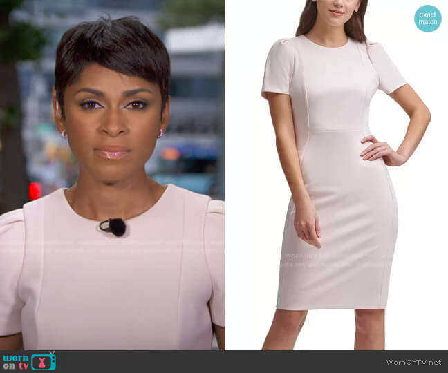 Puff-Sleeve Sheath Dress in Blossom by Calvin Klein worn by Jericka Duncan on CBS Evening News