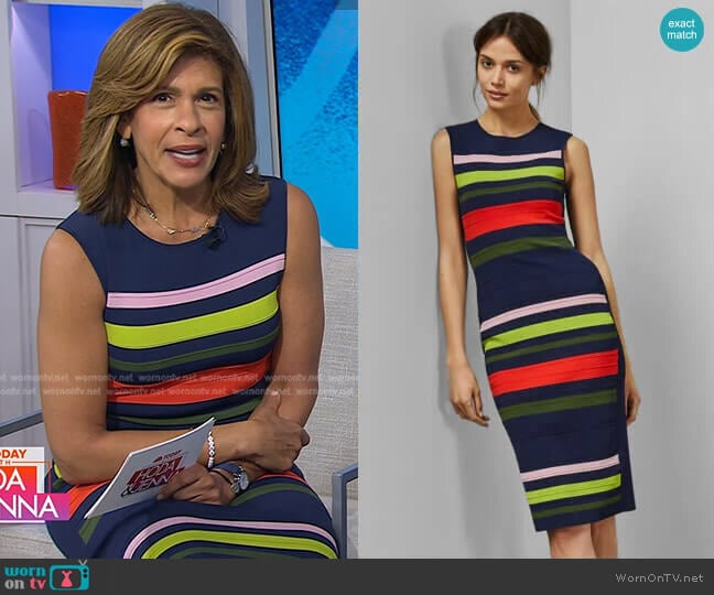 Ysina Striped Dress by Ted Baker worn by Hoda Kotb on Today