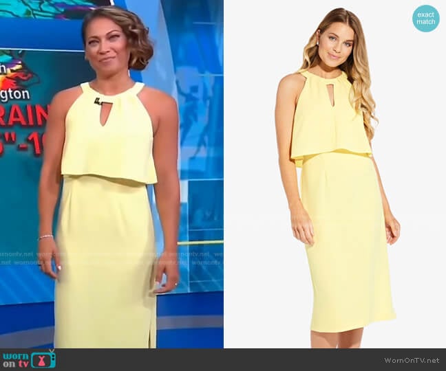 Sleeveless Sheath Dress with Cutout Detail by Adrianna Papell worn by Ginger Zee on Good Morning America