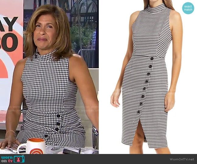 Sofie Dress in Classic Chic by Black Halo worn by Hoda Kotb on Today