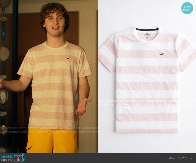 Hollister Must Have Striped T Shirt worn by Quinn Mossbacher (Fred