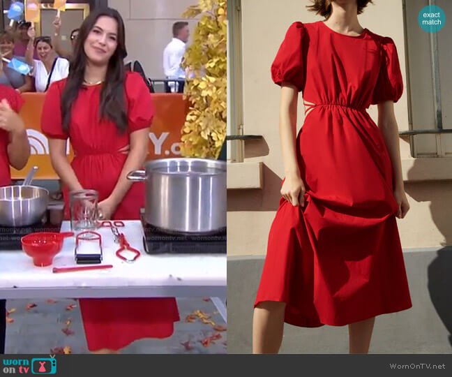 Cut Out Poplin Dress by Zara worn by Elena Besser on GMA