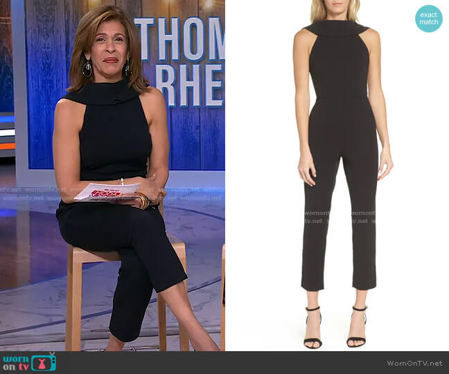 Knit Crepe Roll Neck Jumpsuit by Adrianna Papell worn by Hoda Kotb on Today