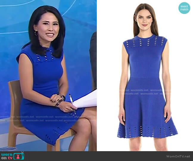 Zaralie Jacquard Panel Skater Dress by Ted Baker worn by Vicky Nguyen on Today