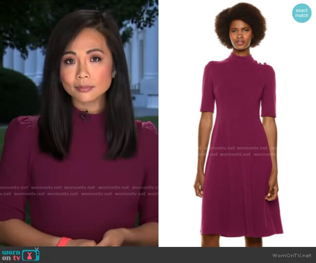 Donna Morgan Stretch Crepe Military Detailed Shoulder Dress worn by Weijia Jiang on CBS Mornings