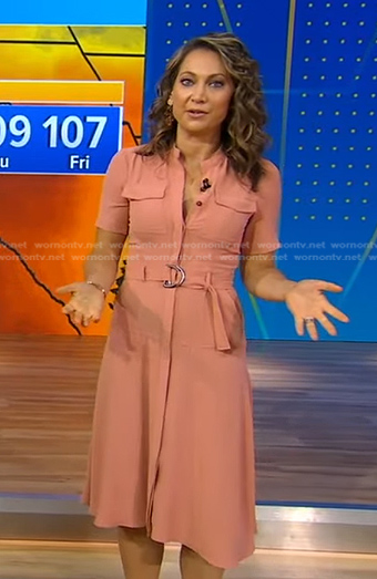 Ginger’s pink belted button front dress on Good Morning America