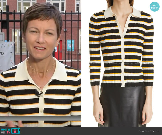 Hudson Stripe Cardigan by Theory worn by Stephanie Gosk on Today