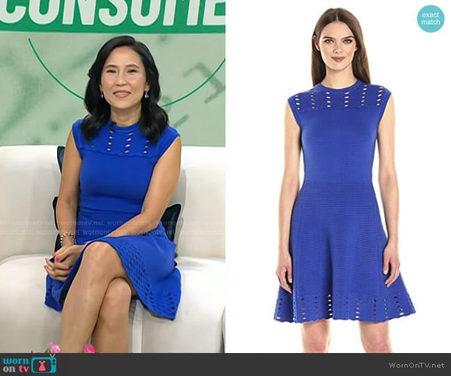 Zaralie Jacquard Panel Skater Dress by Ted Baker worn by Vicky Nguyen on Today
