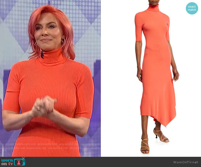 Erynna Turtleneck Handkerchief Midi Dress by A.L.C. worn by Whitney Cummings on The Wendy Williams Show