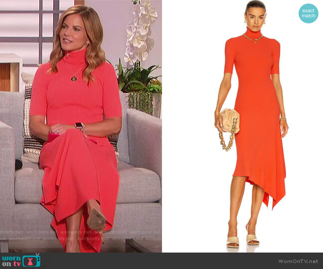 Erynna Turtleneck Dress by A.L.C. worn by Natalie Morales on The Talk