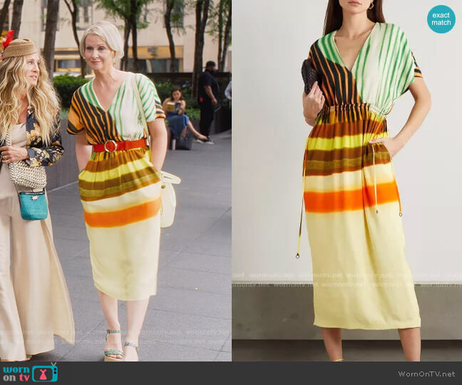 Dries van Noten Dorias Dress worn by Miranda Hobbs (Cynthia Nixon) on And Just Like That