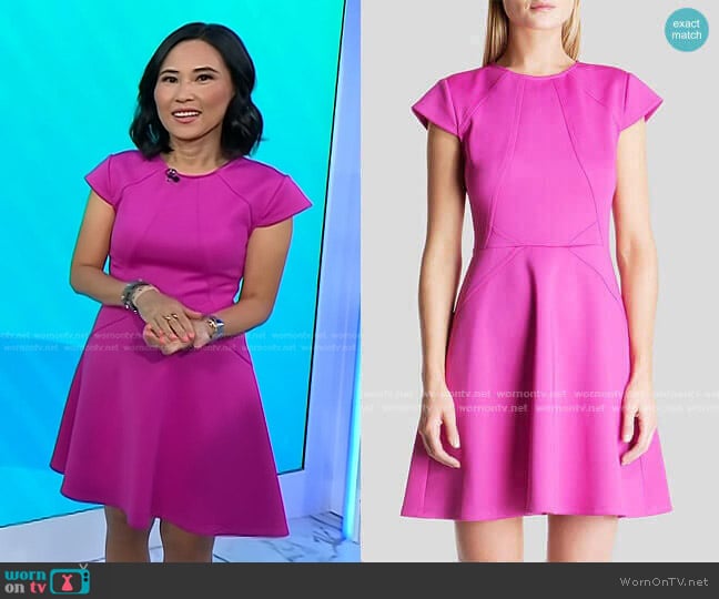 Ted Baker Eebrr Skater Dress worn by Vicky Nguyen on Today