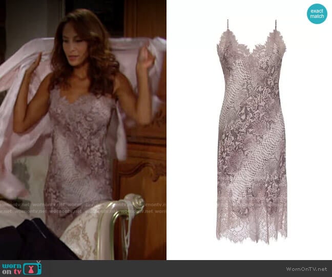 Gold Hawk Python Coco Print Silk Slip Dress worn by Lily Winters (Christel Khalil) on The Young and the Restless