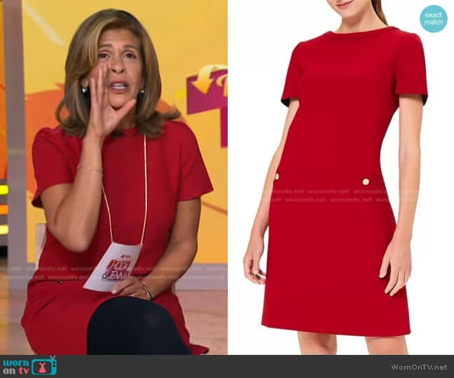 Petra Short Sleeve Shift Dress by Hobbs London worn by Hoda Kotb on Today