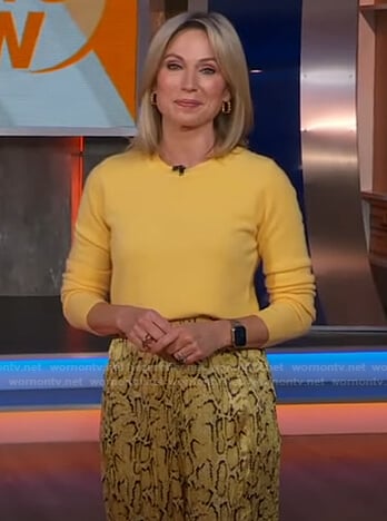 Amy's yellow sweater and snake print pants on Good Morning America