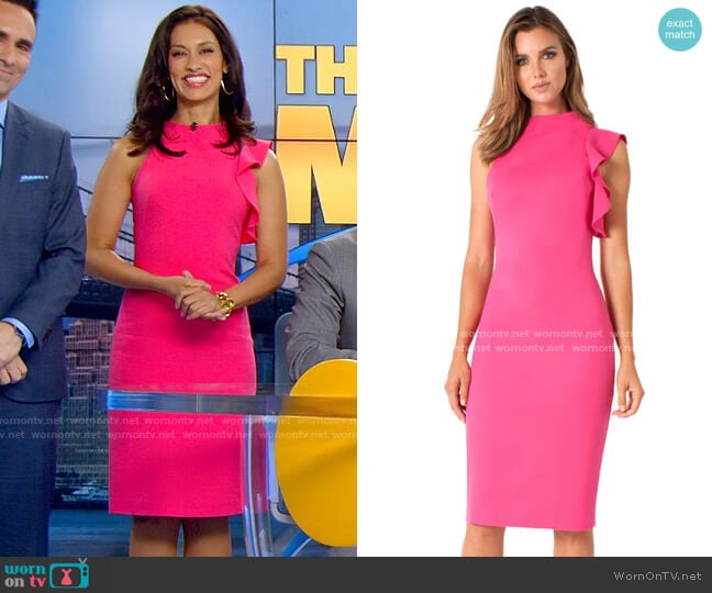 Black Halo Pabla Sheath worn by Alison Namazi (Janina Gavankar) on The Morning Show