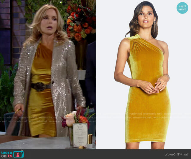 Dress the Population Bellamy Dress worn by Lauren Fenmore (Tracey Bregman) on The Young and the Restless