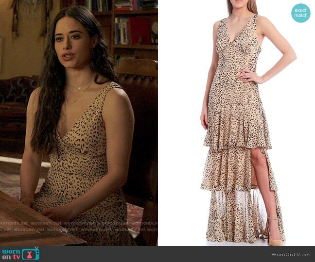 WAYF Hampton Animal Print Dress worn by Liz Ortecho (Jeanine Mason) on Roswell New Mexico