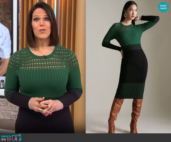 Karen Millen Pointelle Detail Colour Block Knit Dress worn by Dana Jacobson on CBS Mornings