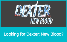 Dexter New Blood Fashion