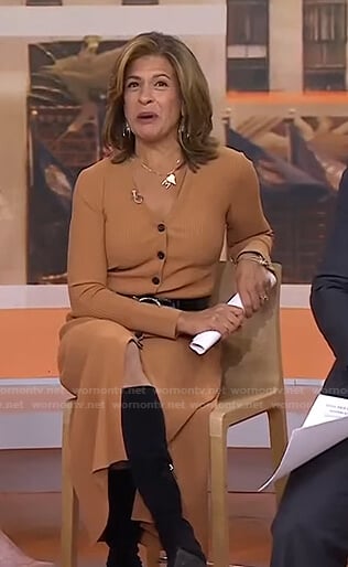 hoda’s brown button down ribbed dress on Today