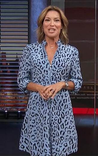 WornOnTV: Kit's blue leopard print dress on Access Hollywood | Kit Hoover |  Clothes and Wardrobe from TV