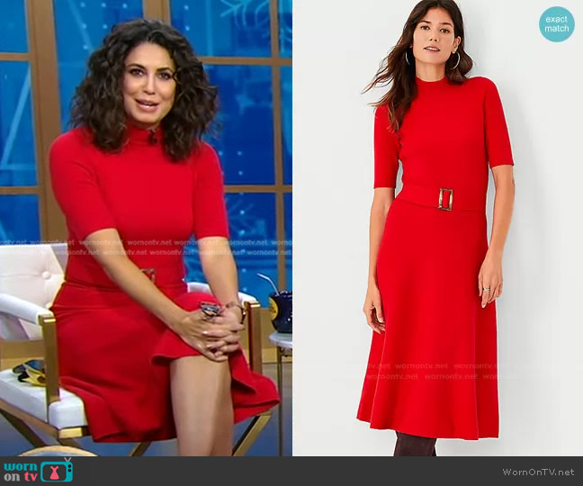 Belted Mock Neck Sweater Dress by Ann Taylor worn by Cecilia Vega on Good Morning America