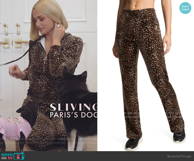 Classic Velour Track Pants by Juicy Couture worn by Paris Hilton  on Paris in Love